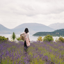 I Am Wellbeing Aromatherapy Oil