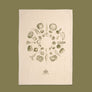 Tea Towel